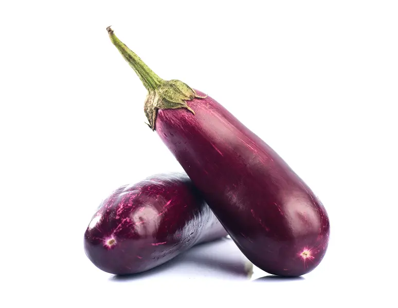 aubergine 2