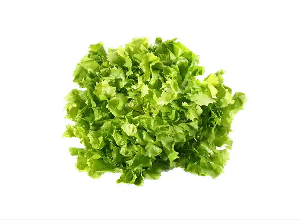 endiv image
