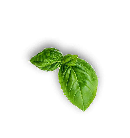 leaf 1