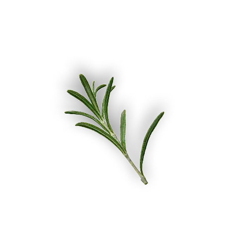 leaf 4