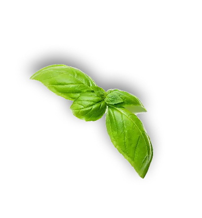 leaf 7