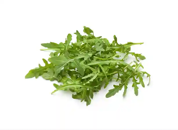rucola image