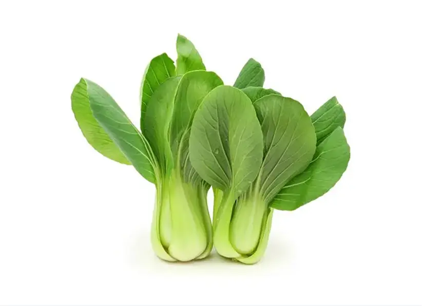 pak choi