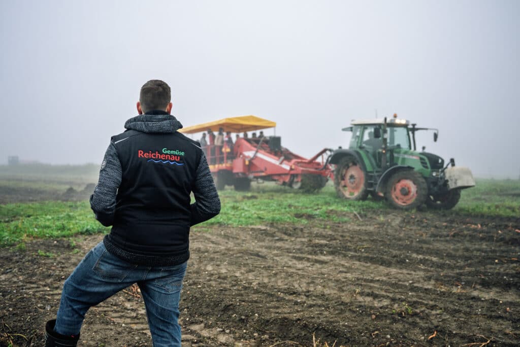 Reichenau-Gemüse eG - Süßkartoffelfeld, Mitarbeiter, Ernte-/Sortierwagen
