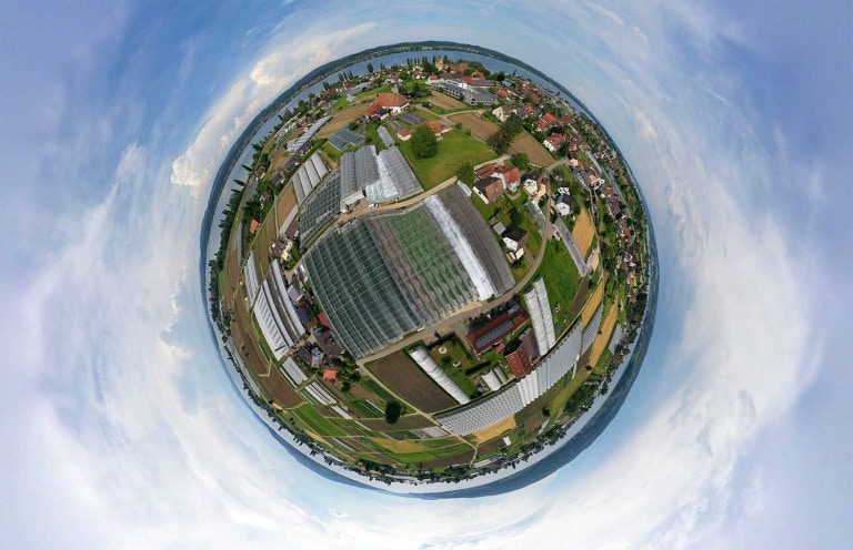 Reichenau-Gemüse eG - Gemüseanbau in 360°