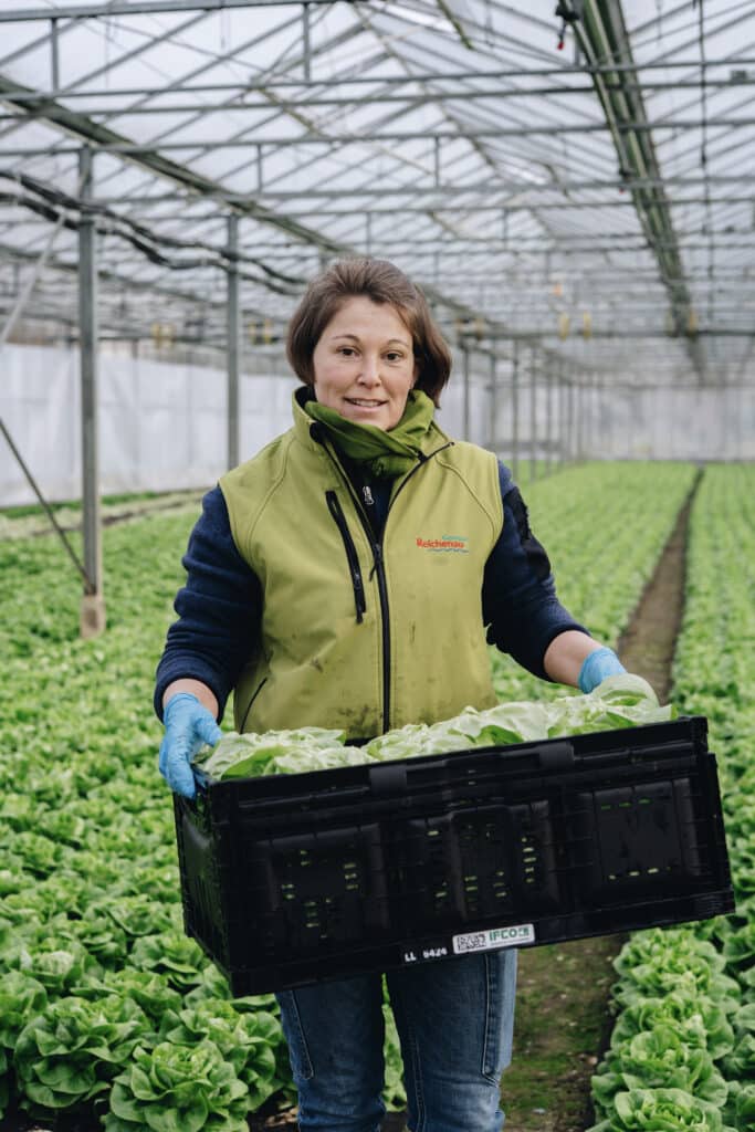 Reichenau-Gemüse eG - Stefanie Wehrle - Erzeugerin im Gewächshaus