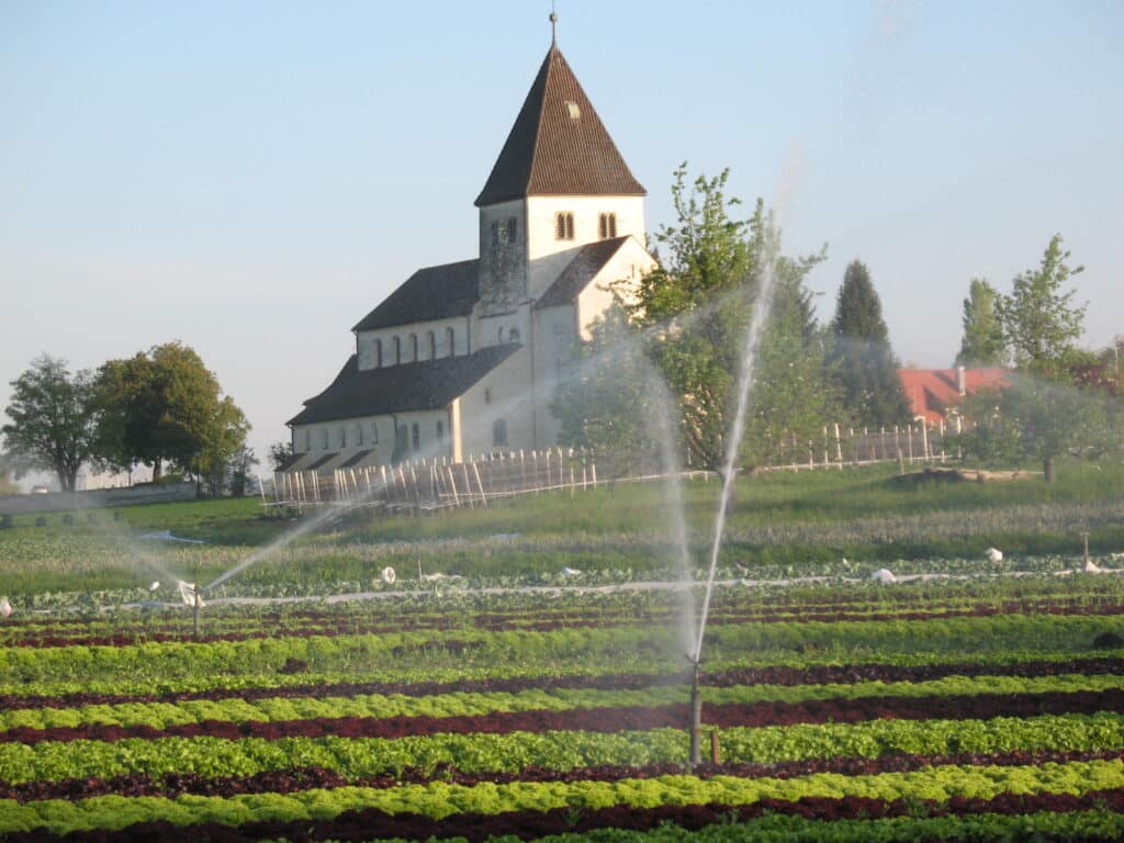 Reichenau-Gemüse eG - Beregnung u Pumpwerke