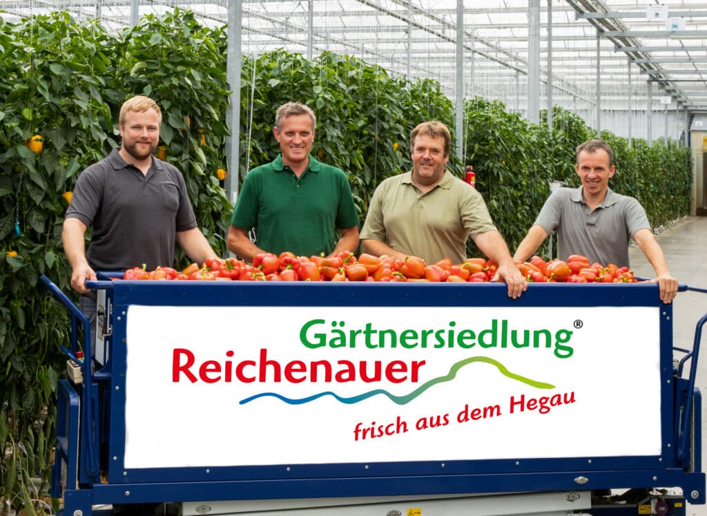 Reichenau-Gemüse eG - Team, Reichenauer Gärtnersiedlung
