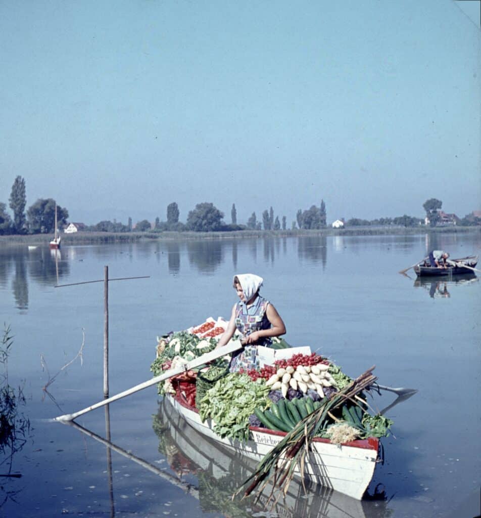 Reichenau-Gemüse eG - Historisches Bild - Gemüseschiff auf dem See, Farbe
