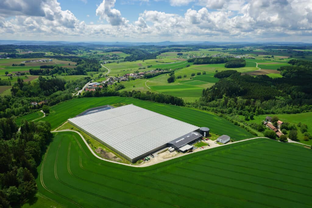 Reichenau-Gemüse eG - Gärtnersiedlung "Mühlingen" Luftaufnahme