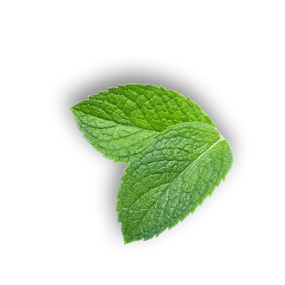 leaf 14