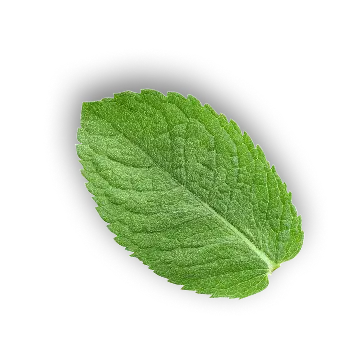 leaf 5
